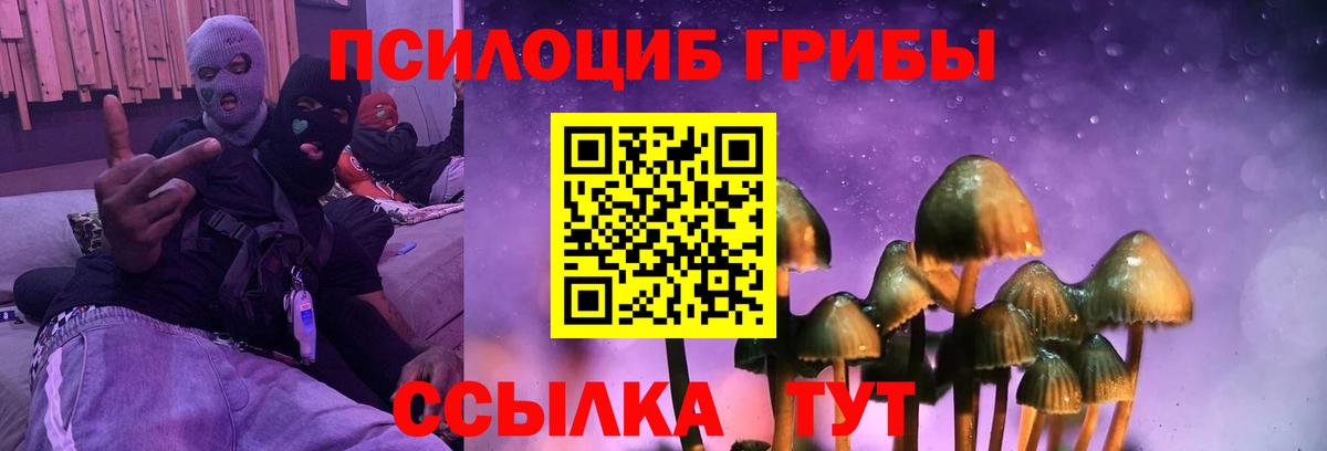 наркотики  Вход с VPN  Псилоцибиновые грибы ЛСД  Урай  Галлюциногенные грибы Cubensis 
